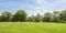 Grass field with trees in the background and sunny skies with light cloud. 