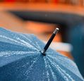 umbrella-in-the-rain.-photo-craig-whitehead