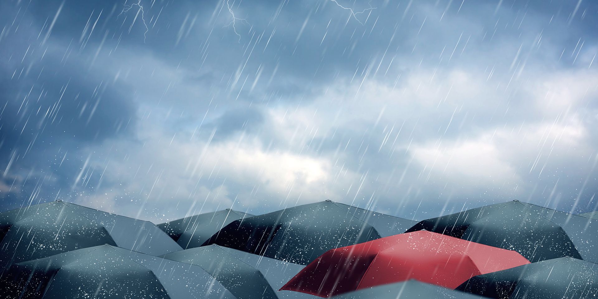 Umbrellas in the rain