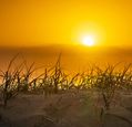 view-of-setting-sun-from-sand-dunes