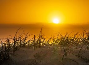 view-of-setting-sun-from-sand-dunes