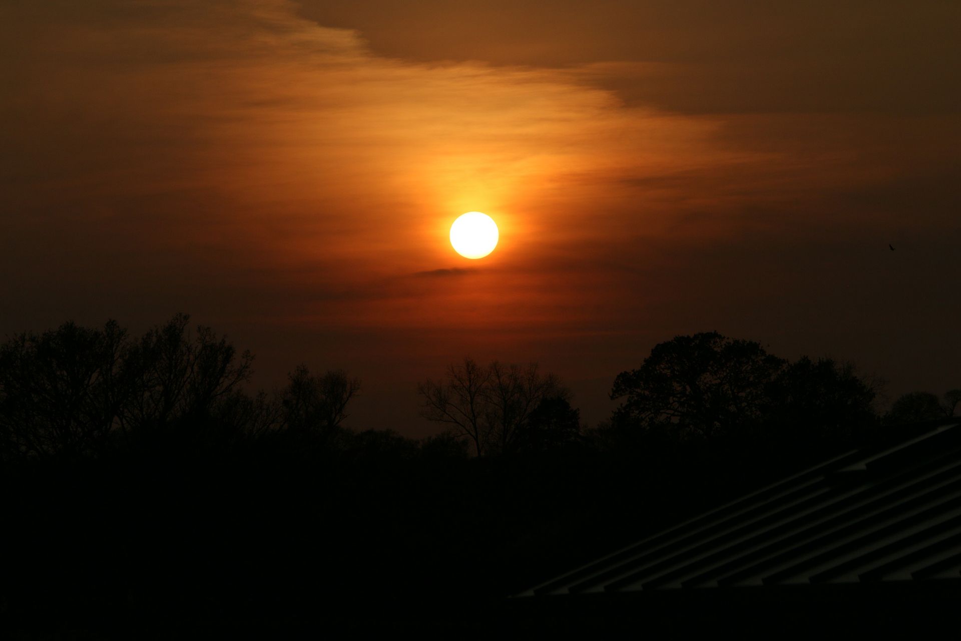 warm-sunset-red-sky-slough