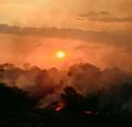 wildfire-1-unsplash
