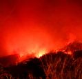 wildfire