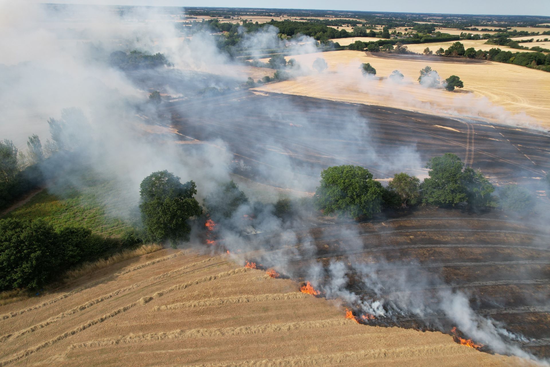 A wildfire in the UK