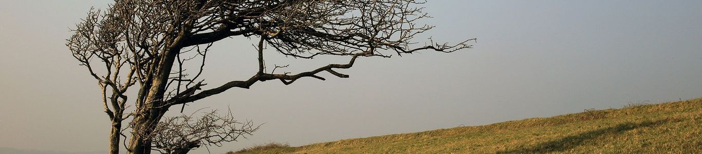 What is wind and how do we measure it? - Met Office