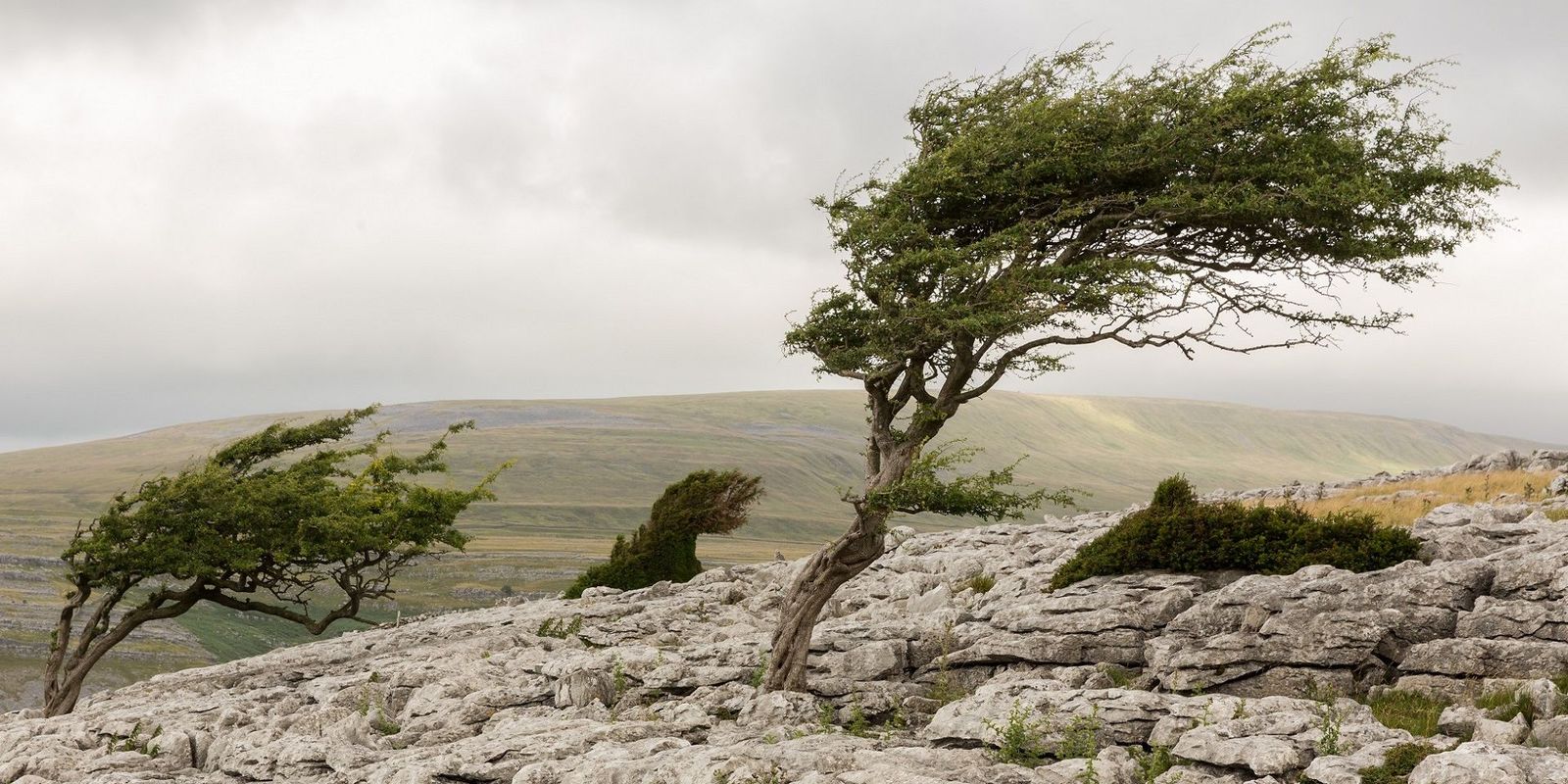 Where were Storm Austen’s strongest wind gusts recorded? - Met Office