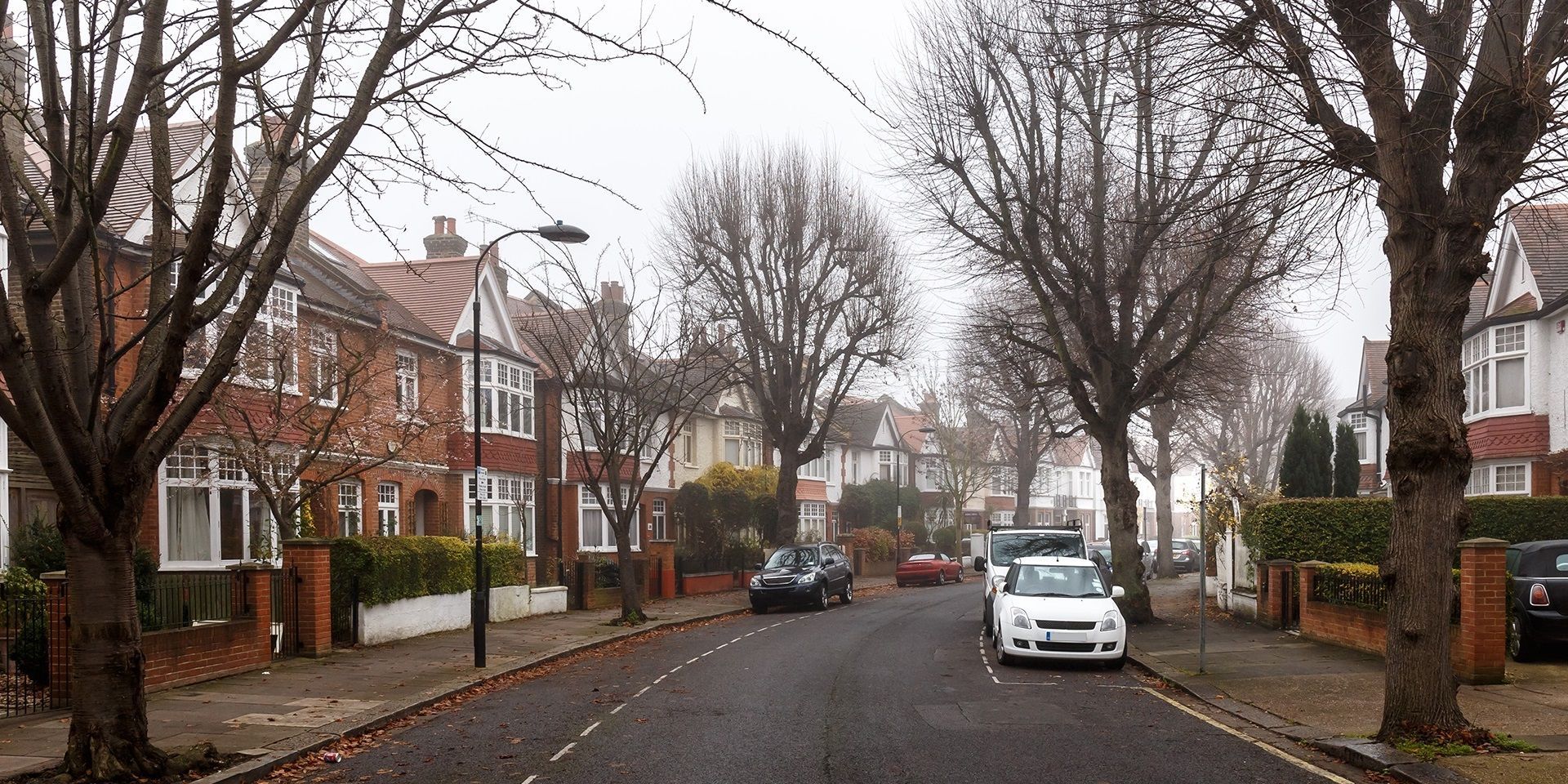 winter-autumn-street-scene-wintry-trees