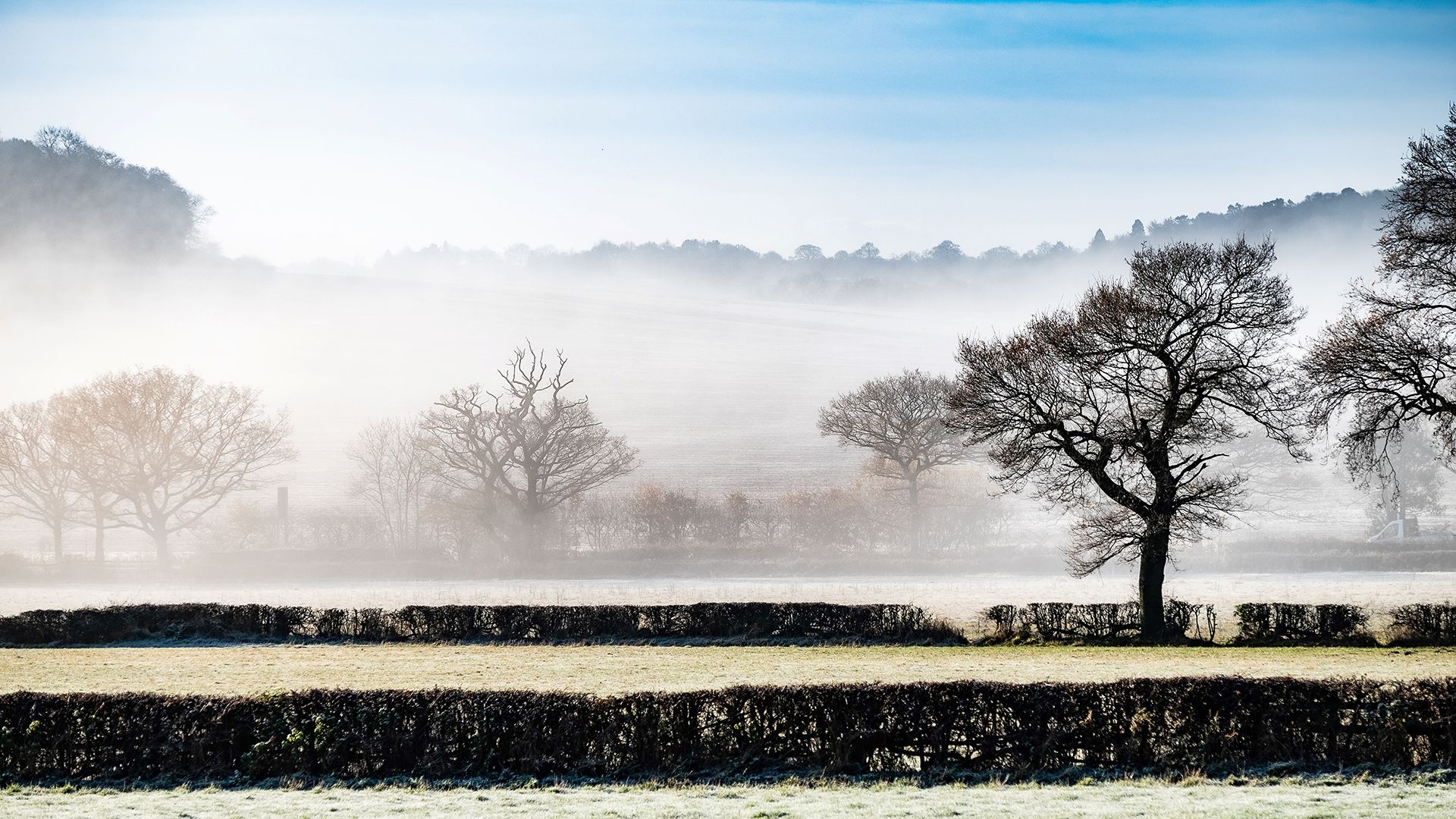 winter-foggy-morning-near-ulverscroft