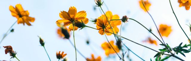 Spring: a season of change - Met Office