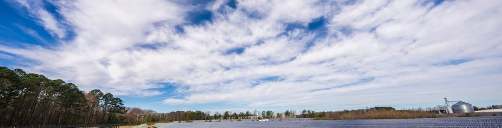 A field with rows of solar panels. White cloud is above in a blue sky