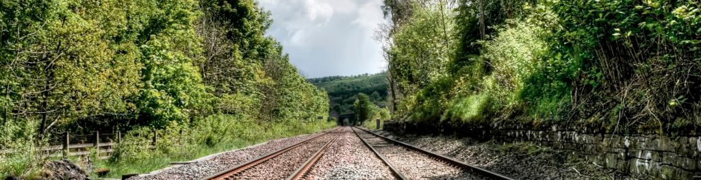 Two sets of railway tracks flanked by trees