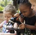 Three children looking in a microscope