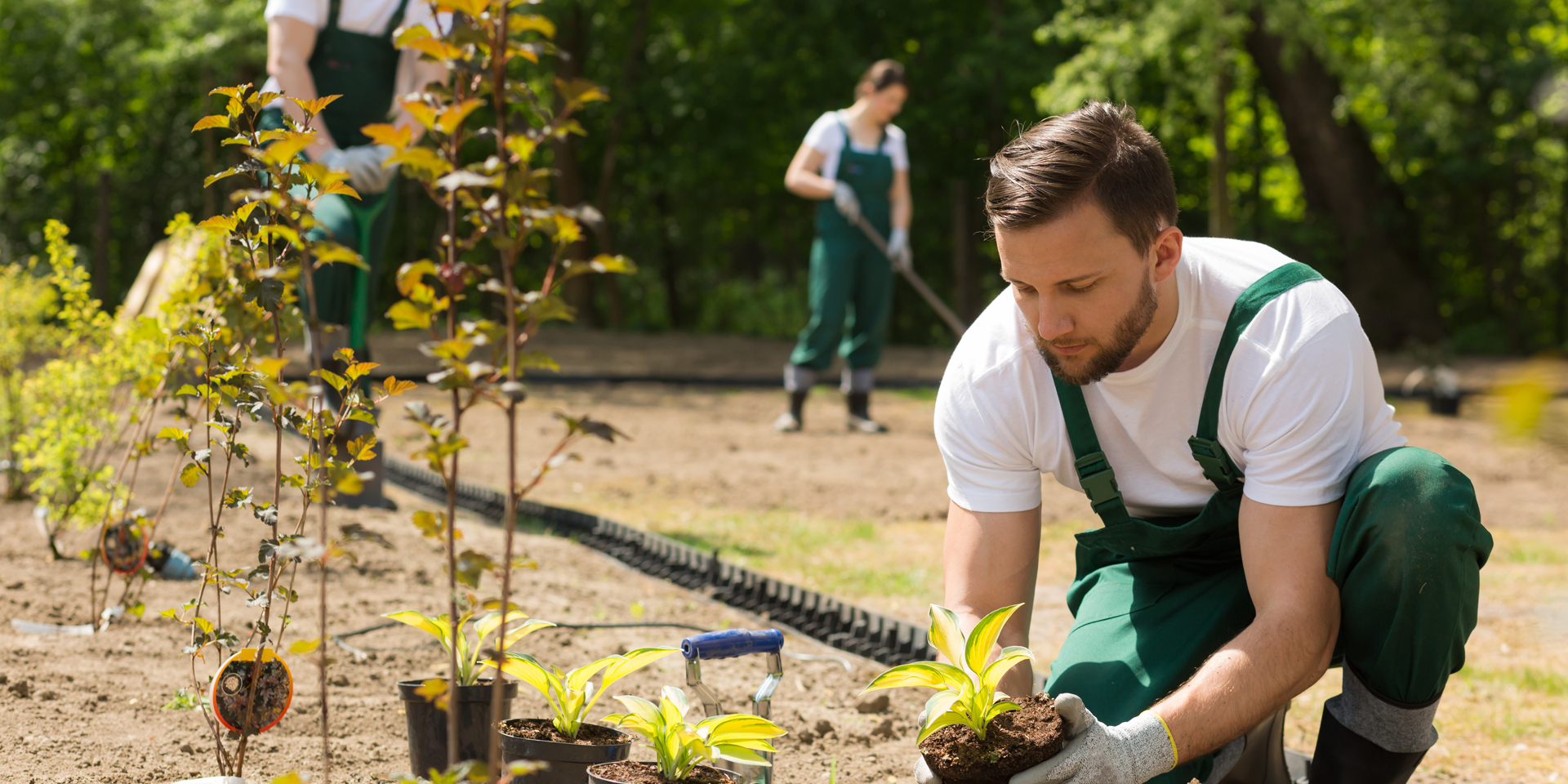 The gardener planted some. Рабочий по озеленению. Садовник. Мастер по озеленению. Садовник в саду.