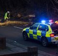 police car with blue lights on at night in front of a fallen tree on the road, a couple of policemen around the tree