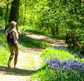 young woman with backpack walking through green forest land with purple flowers between grass