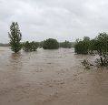 Floodwater in a field with tops of trees visible above the water
