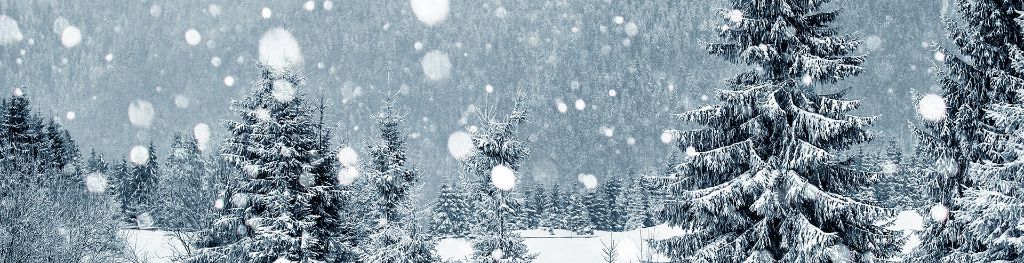 Chrismas snow top