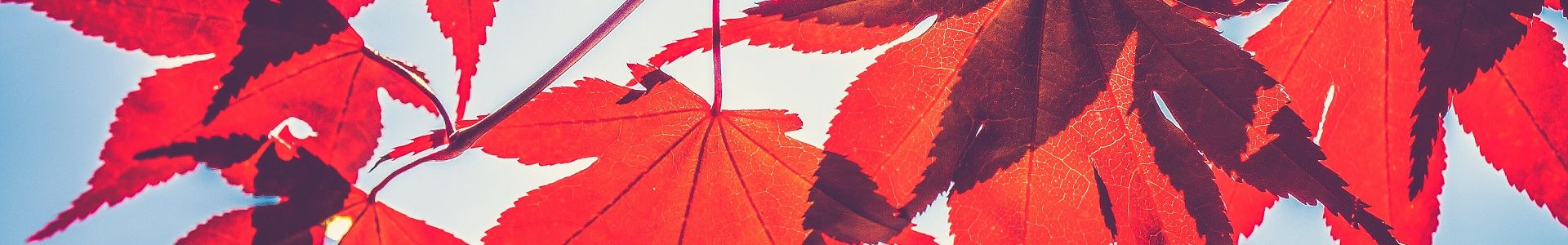 When Does Autumn Start Met Office