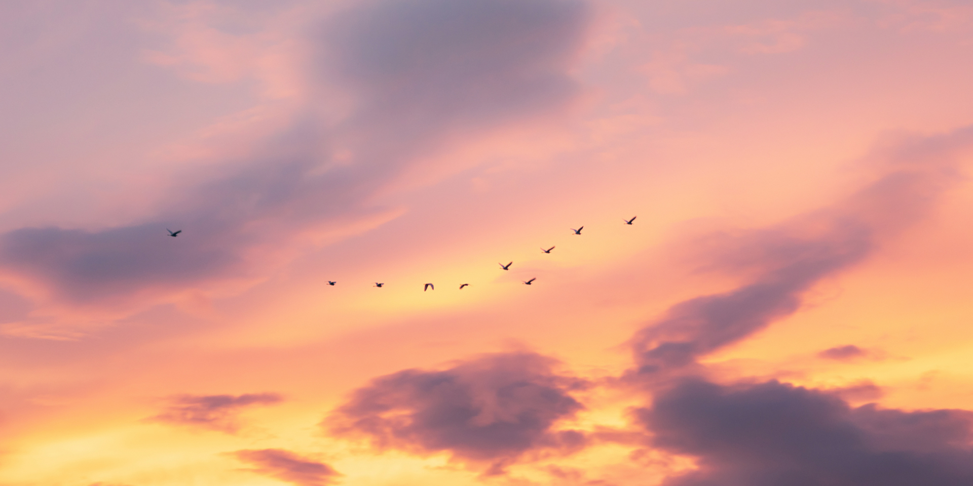 How to use our 14day weather forecasts Met Office