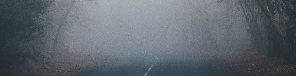 Country road in the fog