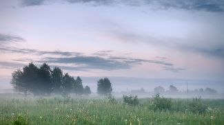 What Are The Different Types Of Fog Met Office