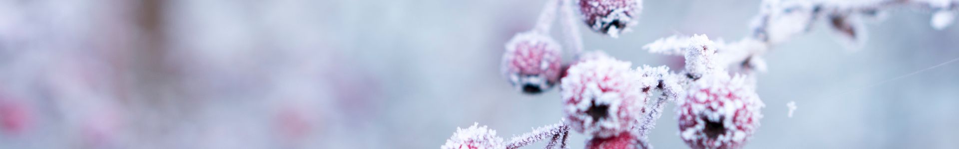 When Does Winter Start Met Office