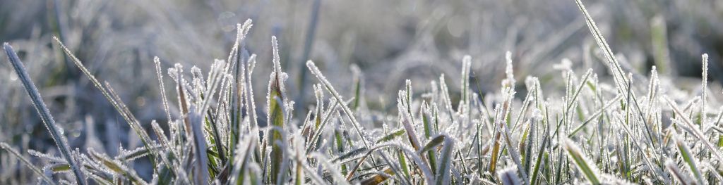 Forecasting frost - Met Office