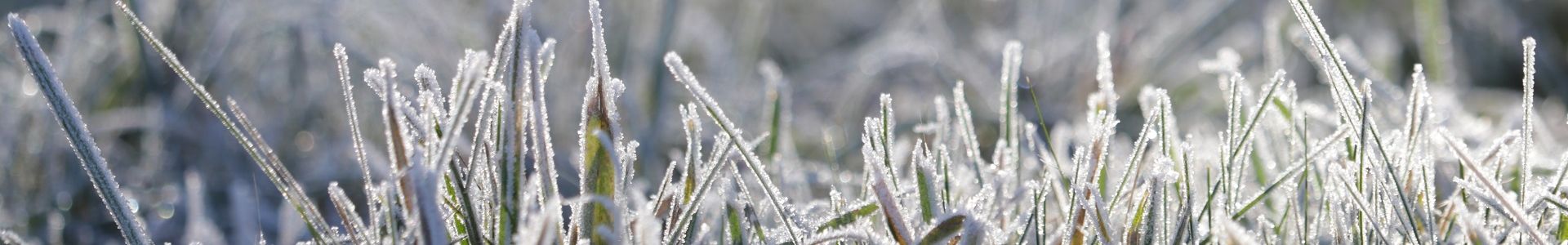 Forecasting Frost Met Office