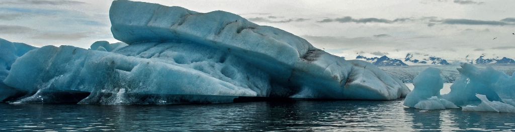 Icebergs in the ocean. Photo by Simon Maennling