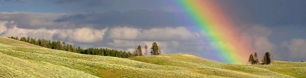 Why don't we see rainbows all the time?, Articles