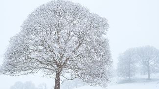 How does snow form? - Met Office