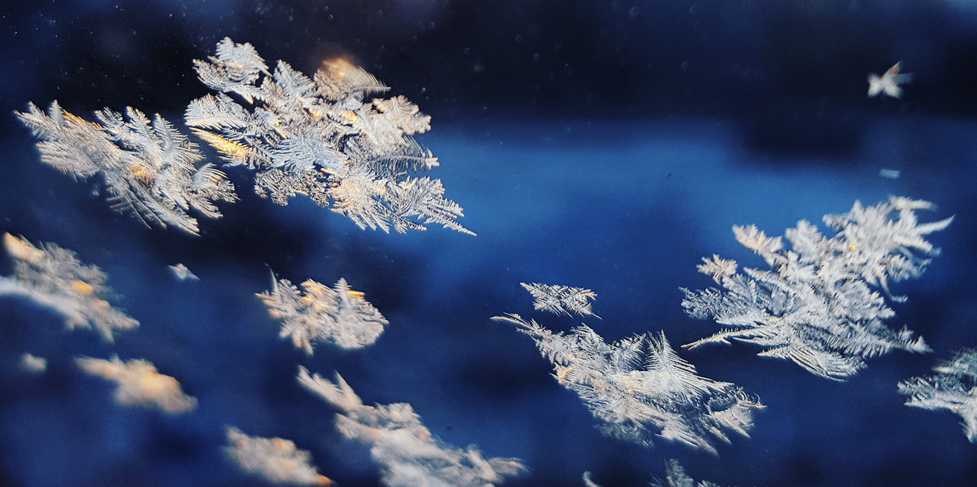 Snowflakes All Fall In One of 35 Different Shapes