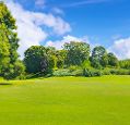 A green park, with flat green lawns in the foreground, giving way to green trees in the background, with a sunny, blue sky and a few clouds around the horizon.