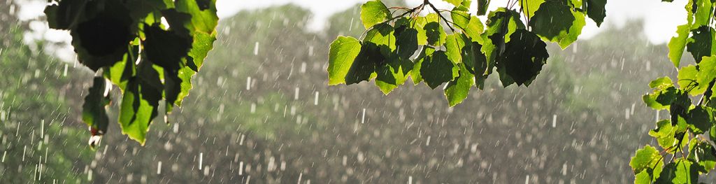 Hot, humid and thundery in places this week - Met Office