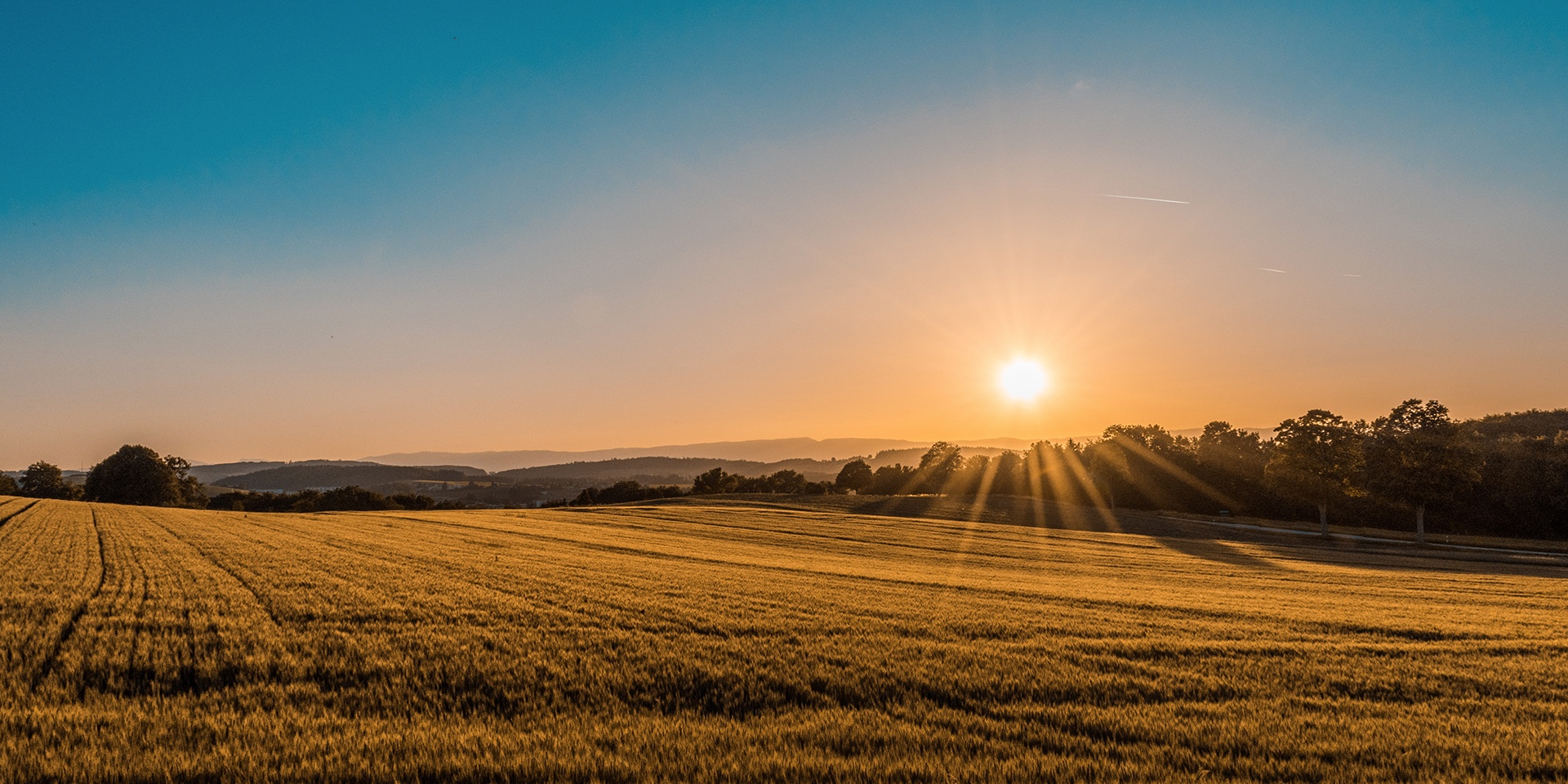 sun-setting-over-a-golden-field.jpg