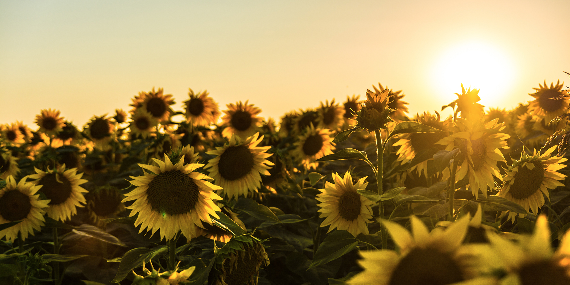 How we measure sunshine and radiation Met Office