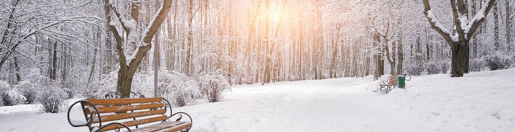 https://www.metoffice.gov.uk/binaries/content/gallery/metofficegovuk/hero-images/weather/winter/benches-in-snow-covered-woods.jpg/benches-in-snow-covered-woods.jpg/metofficegovuk%3AheroMedium