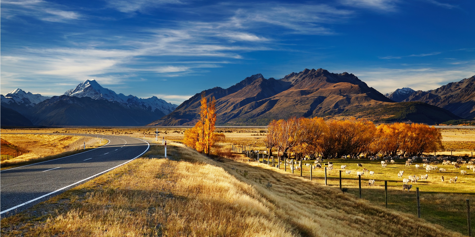 New Zealand holiday weather - Met Office