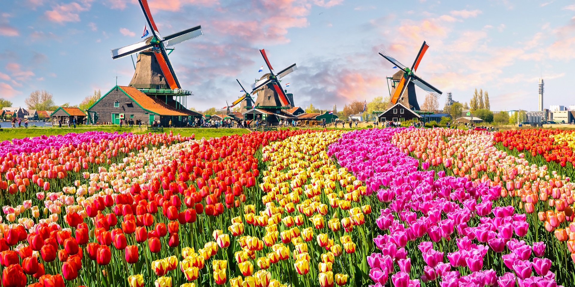 Netherlands holiday weather Met Office