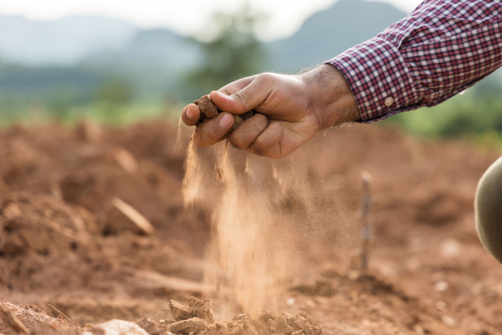 Agricultural impacts are one of the first effects from flash drought