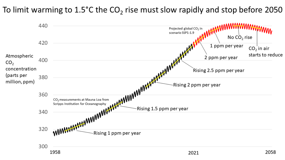 Global Carbon Dioxide Forecast 2022