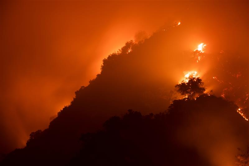 Photo of wildfire