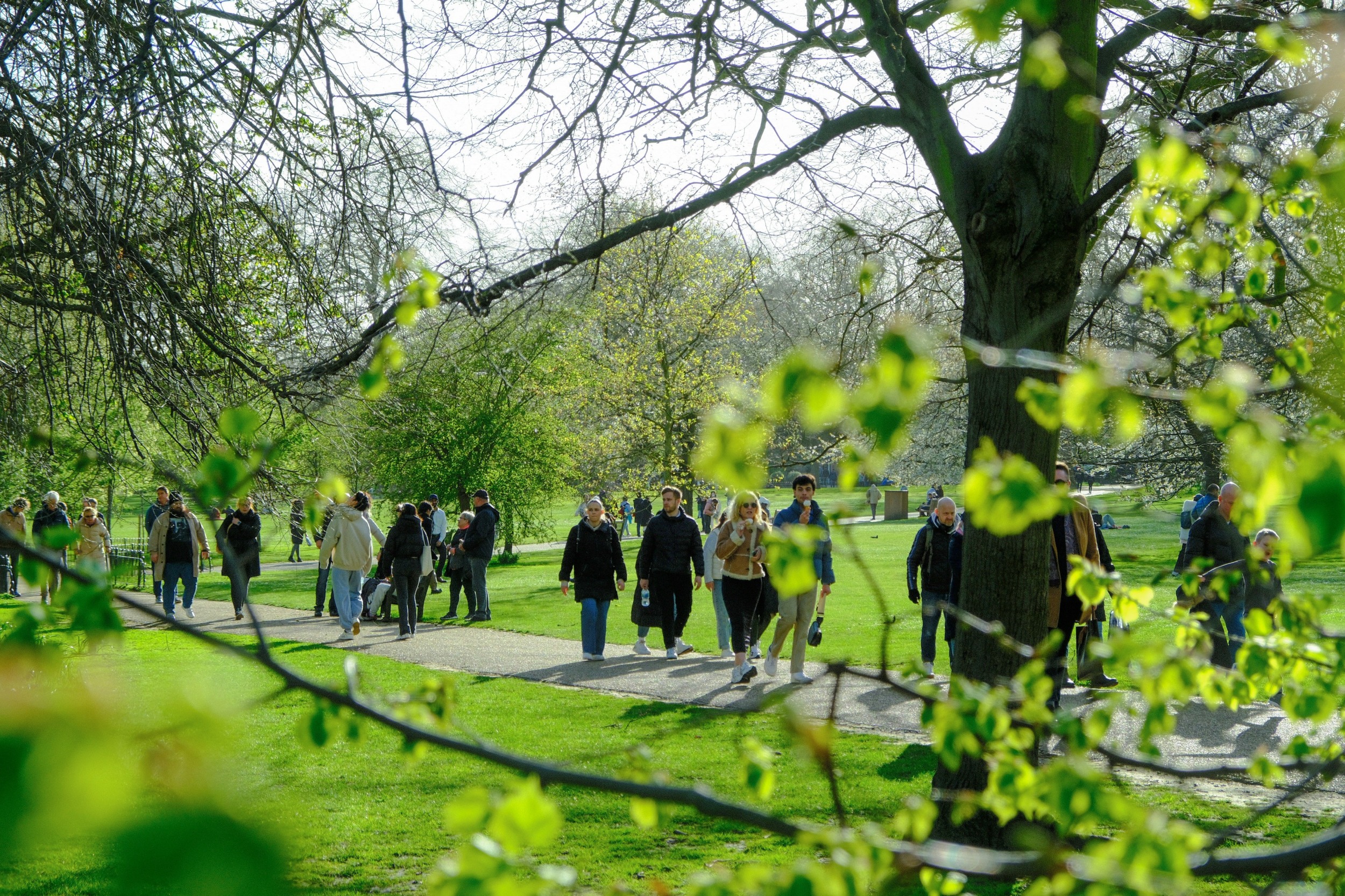 People walking in green park