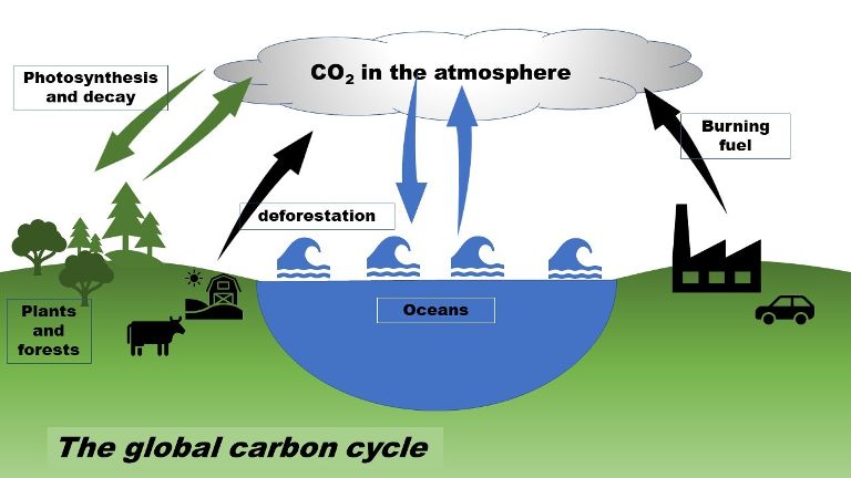 Schematic of global climate cycle