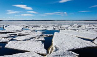 Arctic sea with fractured sea ice at the surface.