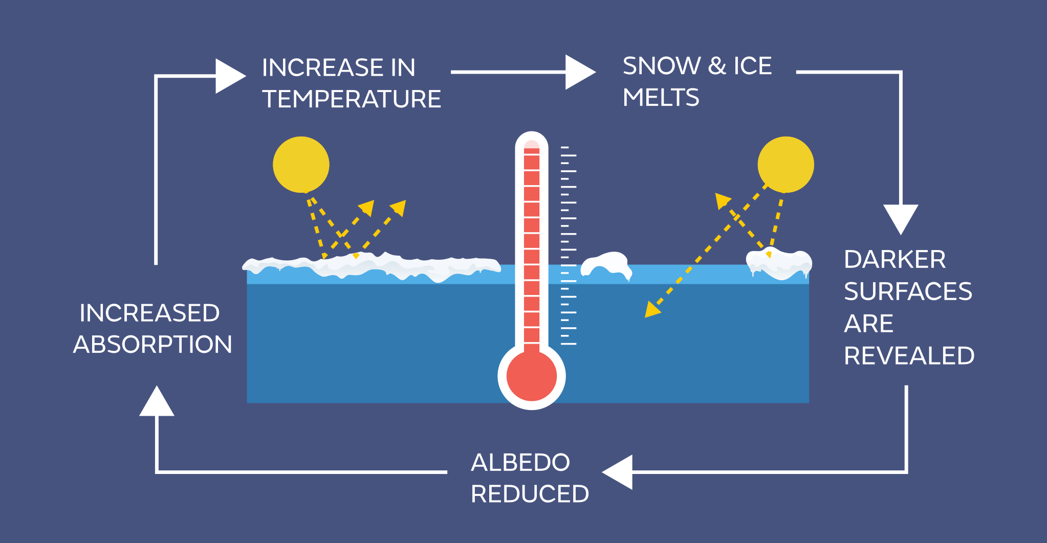A schematic showing the ice albedo feedback.