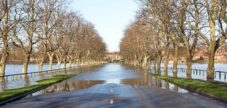 Flood road and fields