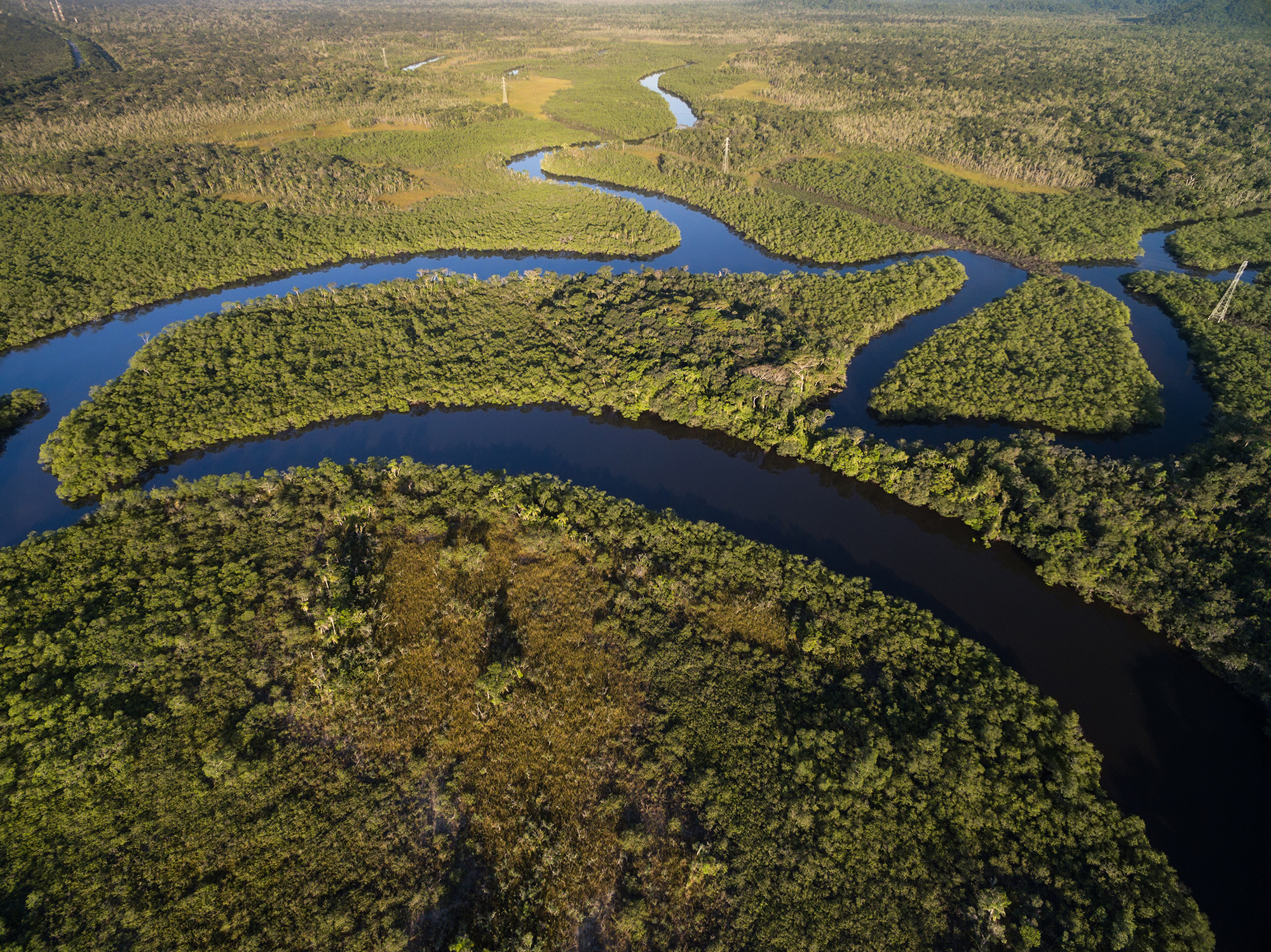 The picture shows an aerial view of the Amazon river with trees and green vegetation surrounding the river.