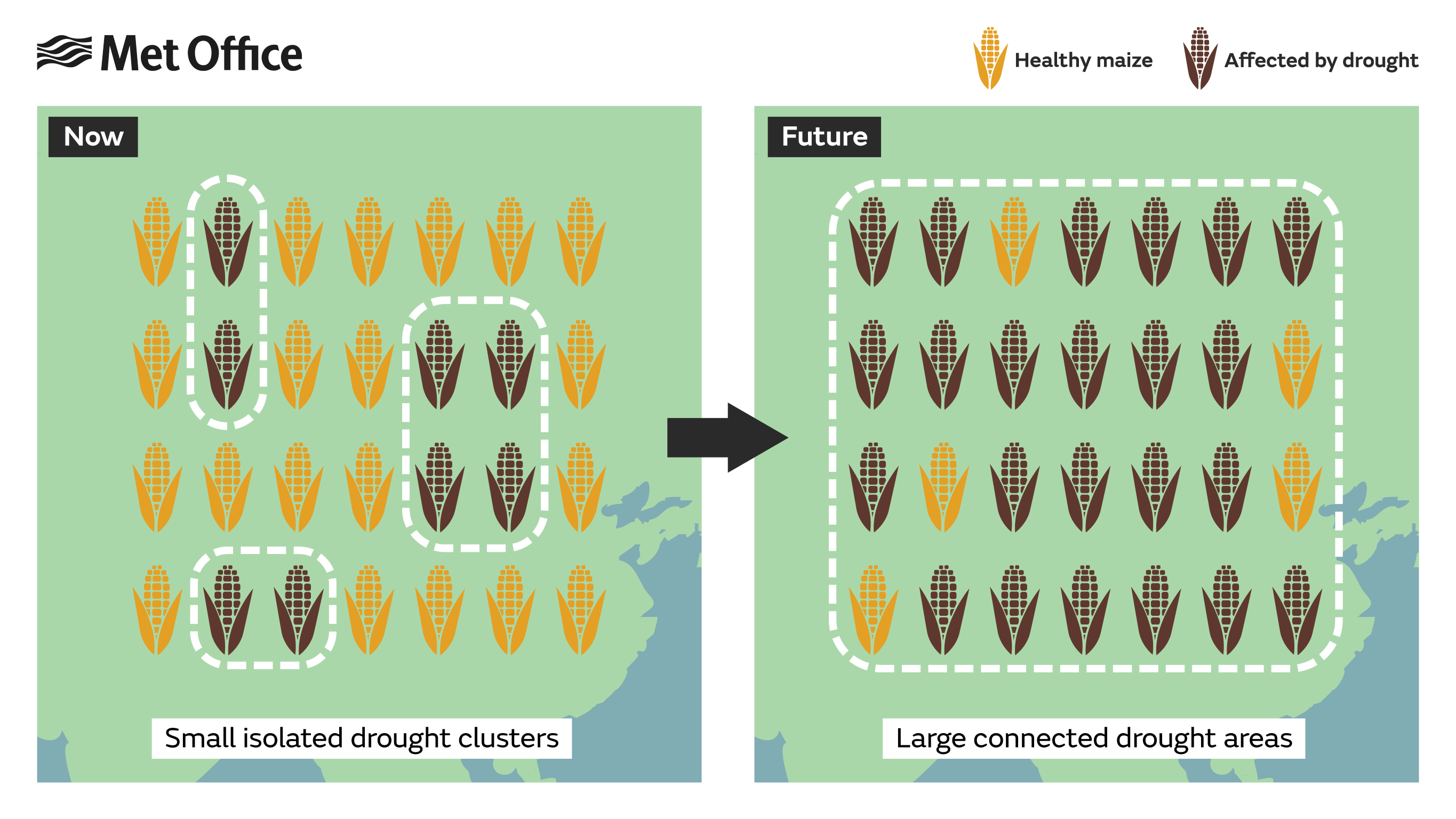Infographic showing how in future climate conditions are more likely for larger area connecting droughts to occur